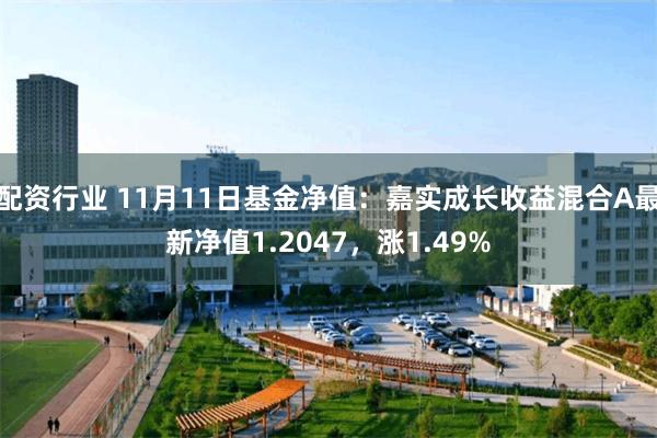 配资行业 11月11日基金净值：嘉实成长收益混合A最新净值1.2047，涨1.49%