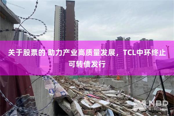 关于股票的 助力产业高质量发展，TCL中环终止可转债发行