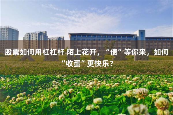 股票如何用杠杠杆 陌上花开，“债”等你来，如何“收蛋”更快乐？