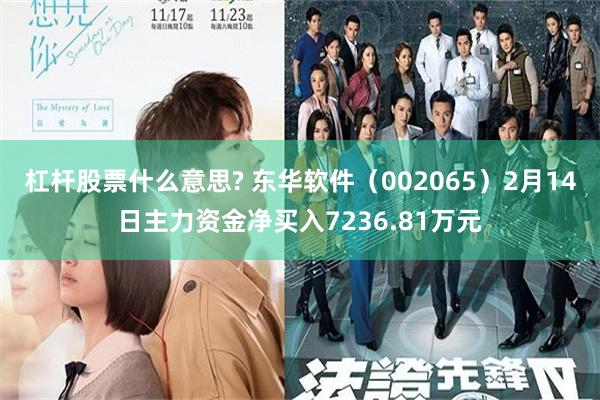 杠杆股票什么意思? 东华软件（002065）2月14日主力资金净买入7236.81万元