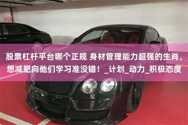 股票杠杆平台哪个正规 身材管理能力超强的生肖，想减肥向他们学习准没错！_计划_动力_积极态度
