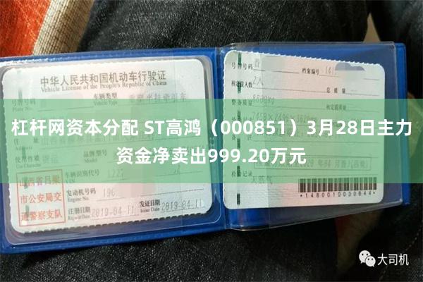 杠杆网资本分配 ST高鸿（000851）3月28日主力资金净卖出999.20万元