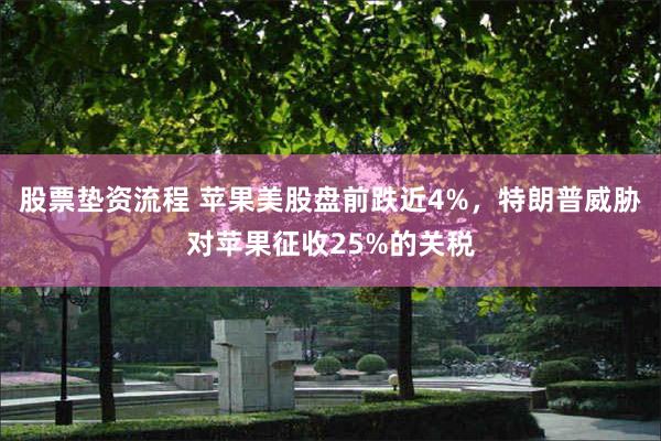 股票垫资流程 苹果美股盘前跌近4%，特朗普威胁对苹果征收25%的关税