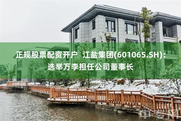 正规股票配资开户  江盐集团(601065.SH)：选举万李担任公司董事长
