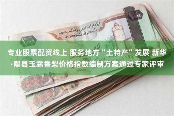 专业股票配资线上 服务地方“土特产”发展 新华·隰县玉露香梨价格指数编制方案通过专家评审