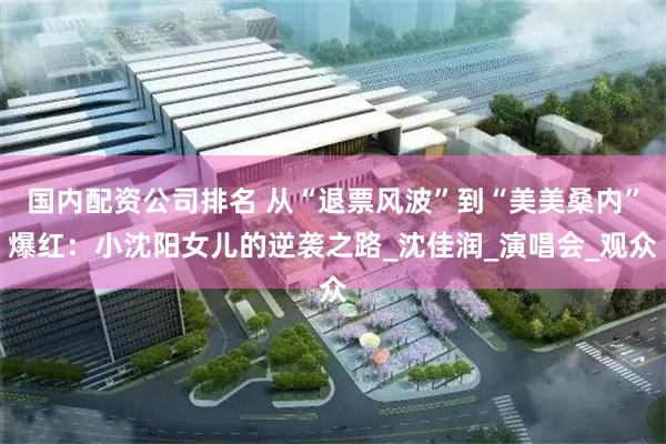 国内配资公司排名 从“退票风波”到“美美桑内”爆红：小沈阳女儿的逆袭之路_沈佳润_演唱会_观众