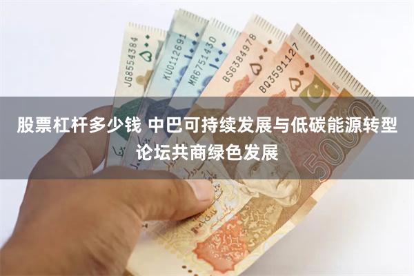 股票杠杆多少钱 中巴可持续发展与低碳能源转型论坛共商绿色发展